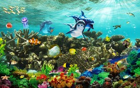 海底世界海底生物