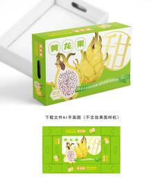 黄龙果包装