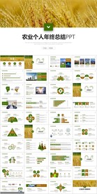 麦穗背景农业年终总结工作汇报