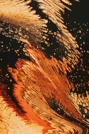 黄色流体渐变科技线条背景