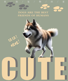 狗海报