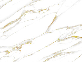 新传 金线新爵士白 TiF合层