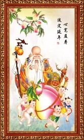 老寿星