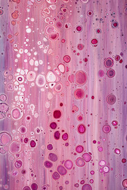 粉色流体渐变科技线条背景