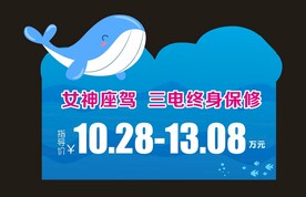 汽车异形车顶牌