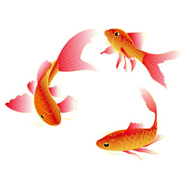 锦鲤鱼 好运连连 红红火火