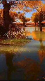 额济纳旗胡杨林宣传视频