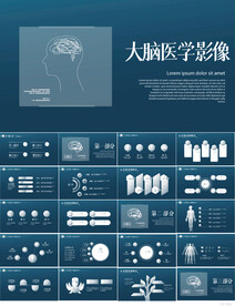 大脑医学影像数字化医疗PPT