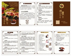 灵芝破壁孢子粉四折页