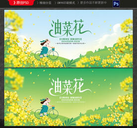 油菜花