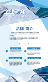 企业品牌公司简介
