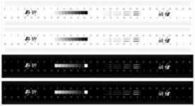 菲林尺 尺寸 尺子 软尺