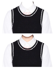 女孩马甲毛衣证件照衣服素材