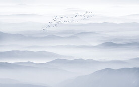 现代意境新中式山水背景壁画