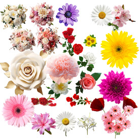 免扣花 透明花朵花瓣 