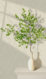 玄关绿植装饰画 