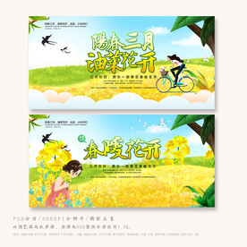 油菜花