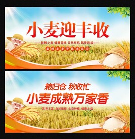 小麦