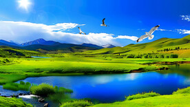 草原湖泊湿地公园