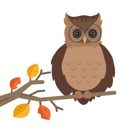 卡通猫头鹰