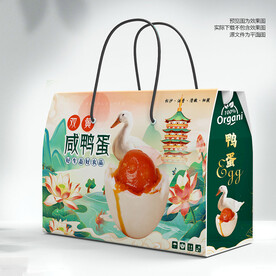海鸭蛋包装 双黄蛋礼盒