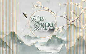 美容养生灯箱广告壁画背景墙设计