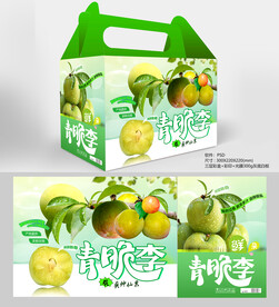 青李子包装盒