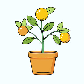 矢量植物一盆小橘子树