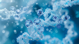 旋转的生物分子