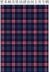 男装格子 春夏格纹面料