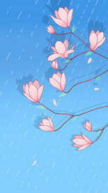 手绘粉色玉兰花壁纸 