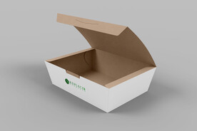 牛皮纸打包餐盒样机