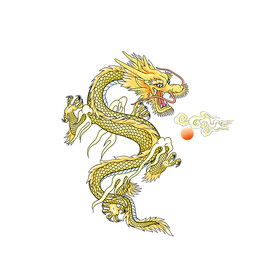 细致高清分层PSD格式金龙