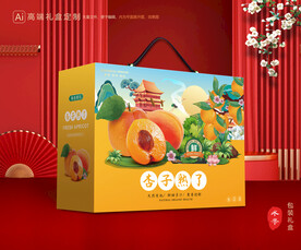 杏包装 杏脯礼盒