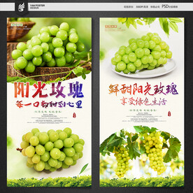 阳光玫瑰