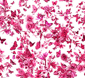 大牌红色蝴蝶花