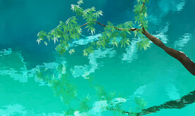 河面上的倒影与树枝