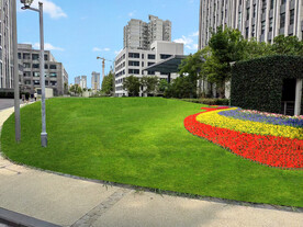 时令花卉摆花效果图