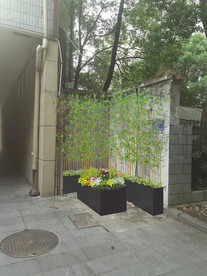 2024小项目效果图