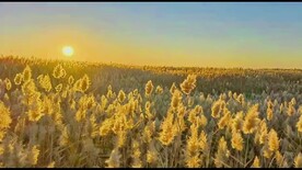 居延海日出日落实拍