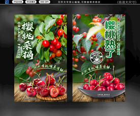 樱桃
