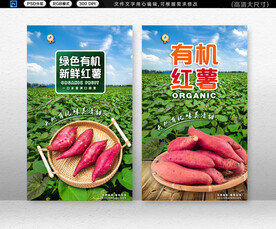 红薯