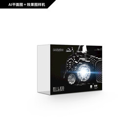 LED双光透镜包装 