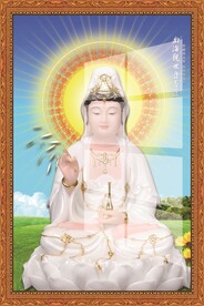 南海观世音菩萨图片