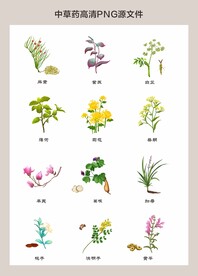 中药材高清png图片