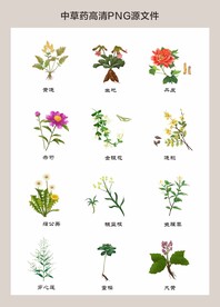 中药材高清png图片