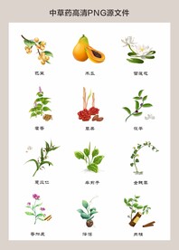 中药材高清png图片