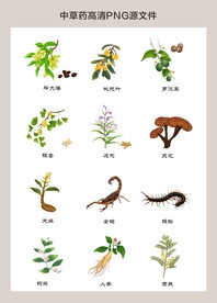 中药材高清png图片