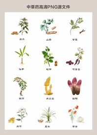 中药材高清png图片