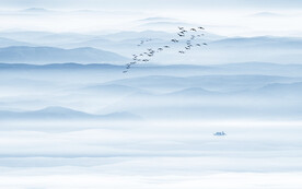 新中式水墨山水画电视背景墙